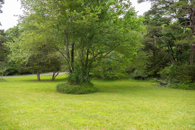 11249 Possum Trail Rd, Harrison, TN 37341 - view of green lawn