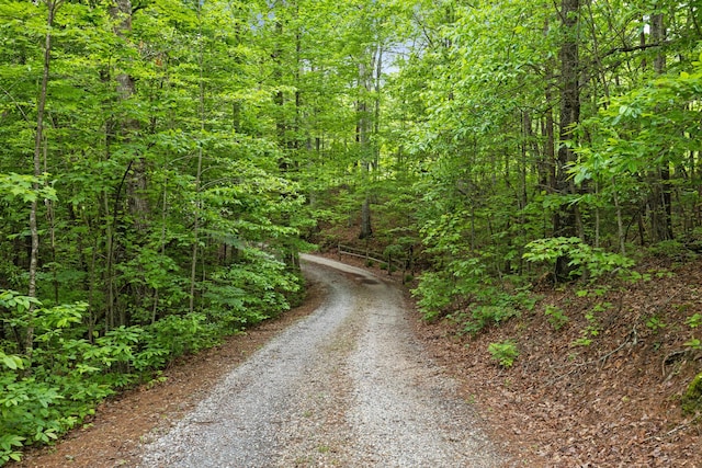 140 Croft Chapel Rd, Turtletown, TN 37391 - view of street featuring a wooded view
