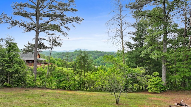 140 Croft Chapel Rd, Turtletown, TN 37391 - view of green lawn with a forest view and a mountain view