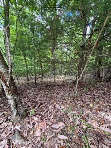 00 Dogwood Ct, Spring City, TN 37381