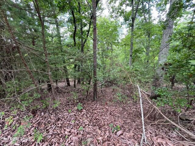 00 Dogwood Ct, Spring City, TN 37381