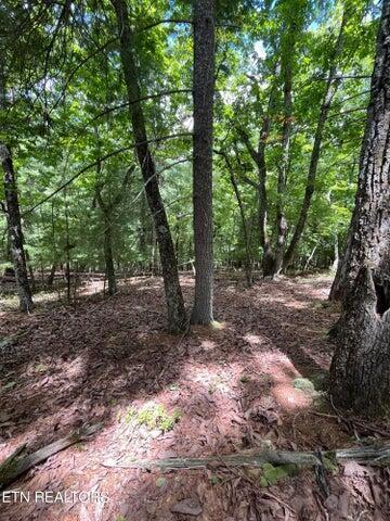00 Dogwood Ct, Spring City, TN 37381