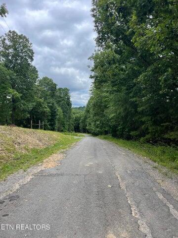 00 Dogwood Ct, Spring City, TN 37381
