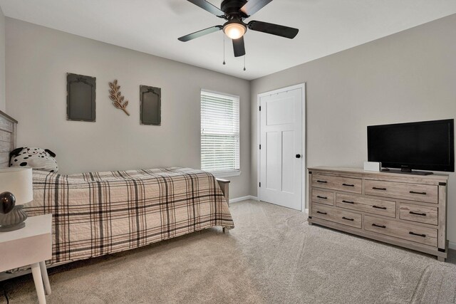 272 Burnt Hollow Trl SE, Cleveland, TN 37323 - photo 24