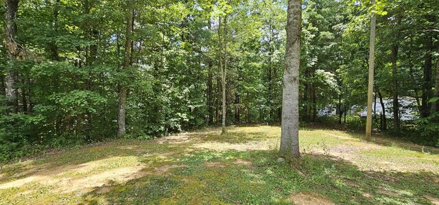 363 Shields Branch Rd, Tellico Plains, TN 37385 - photo 38