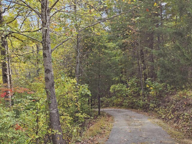 363 Shields Branch Rd, Tellico Plains, TN 37385 - photo 44