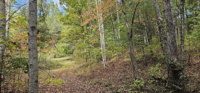 363 Shields Branch Rd, Tellico Plains, TN 37385 - photo 41