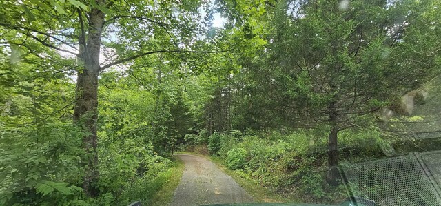 363 Shields Branch Rd, Tellico Plains, TN 37385 - photo 34