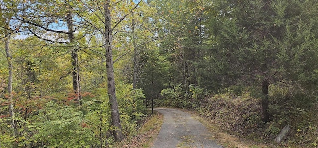 363 Shields Branch Rd, Tellico Plains, TN 37385 - photo 46