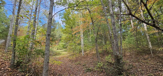 363 Shields Branch Rd, Tellico Plains, TN 37385 - photo 43