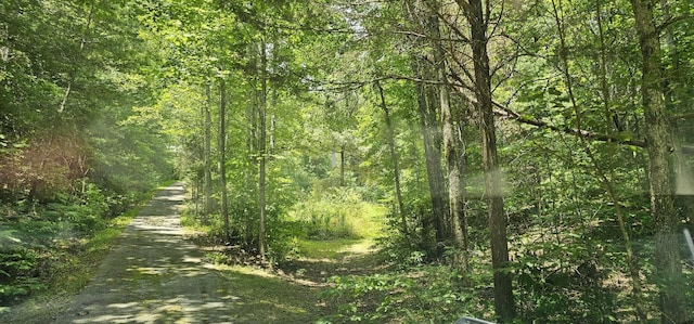 363 Shields Branch Rd, Tellico Plains, TN 37385 - photo 39
