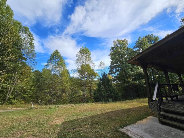 363 Shields Branch Rd, Tellico Plains, TN 37385 - photo 47