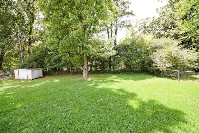 view of yard with a storage unit