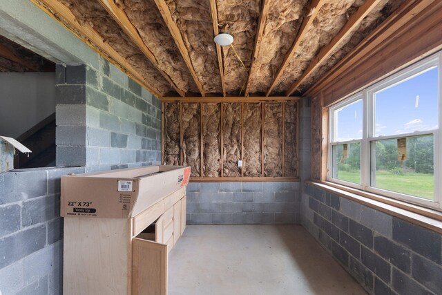 2517 No Pone Rd NW, Georgetown, TN 37336 - basement featuring concrete block wall