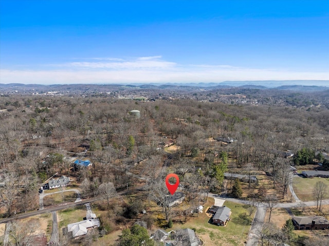 drone / aerial view featuring a mountain view