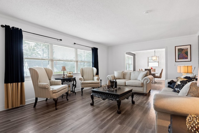 living room with crown molding, dark hardwood / wood-style floors, and a textured ceiling