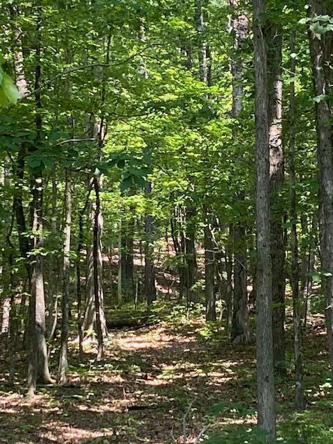 00000 Brayton Mountain Rd, Graysville, TN 37338 - photo 2