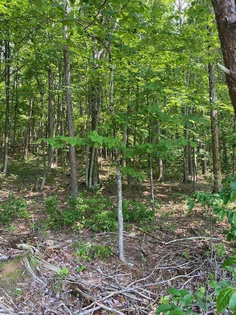 00000 Brayton Mountain Rd, Graysville, TN 37338 - photo 6