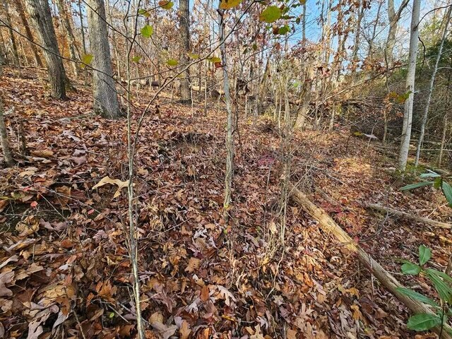 LOT25 Countryside Dr, Evensville, TN 37332 - photo 8