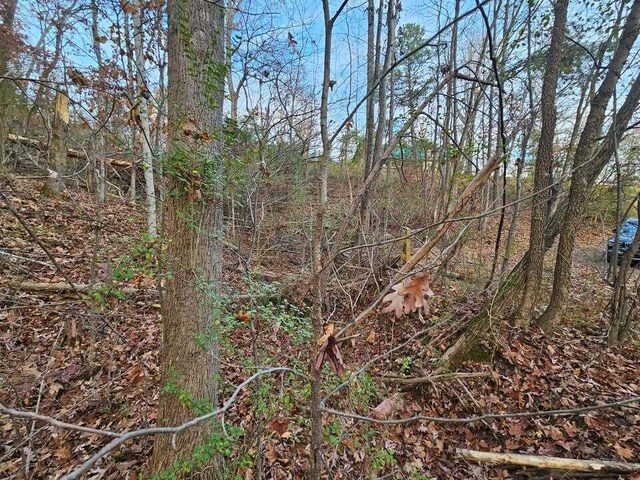 LOT25 Countryside Dr, Evensville, TN 37332 - photo 11