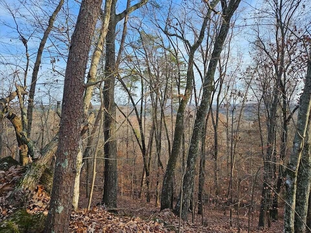 LOT25 Countryside Dr, Evensville, TN 37332 - photo 1