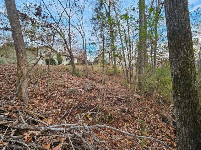 LOT25 Countryside Dr, Evensville, TN 37332 - photo 5
