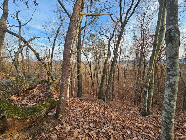 LOT25 Countryside Dr, Evensville, TN 37332 - photo 10