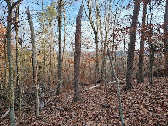 LOT25 Countryside Dr, Evensville, TN 37332 - photo 9