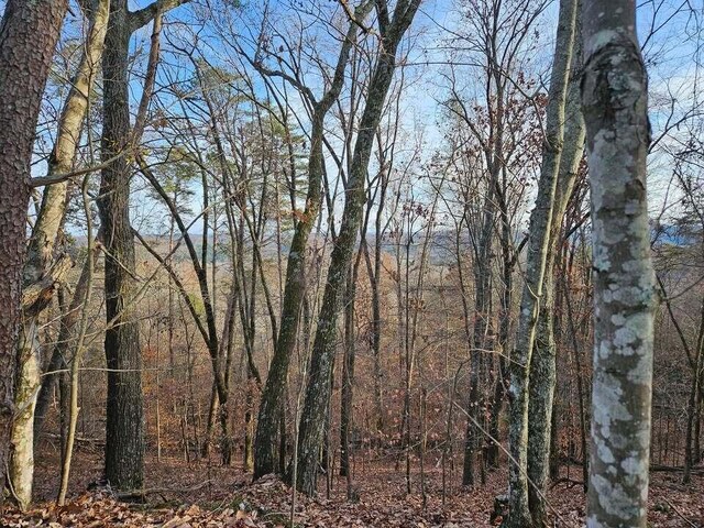 LOT25 Countryside Dr, Evensville, TN 37332 - photo 7