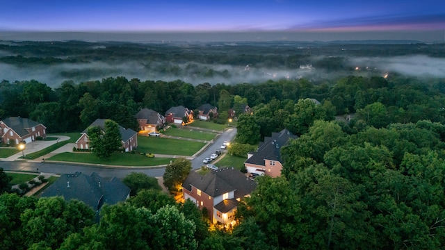 1028 Ivy Manor Ct, Hixson, TN 37343 - aerial view of property and surrounding area featuring a forest