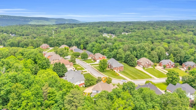 1028 Ivy Manor Ct, Hixson, TN 37343 - aerial perspective of suburban area featuring a heavily wooded area