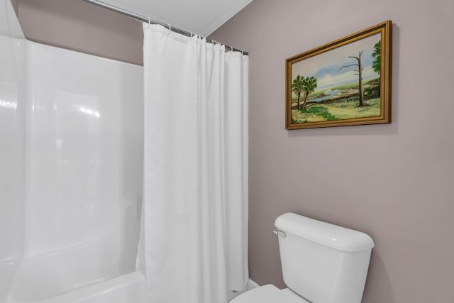 1028 Ivy Manor Ct, Hixson, TN 37343 - full bathroom with toilet
