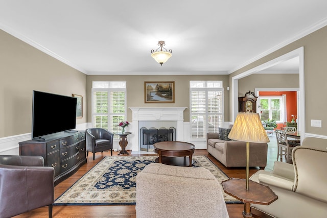 1028 Ivy Manor Ct, Hixson, TN 37343 - living room with ornamental molding, healthy amount of natural light, wood finished floors, a fireplace with flush hearth, and wainscoting
