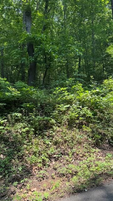 00 Ridgeway Dr NW, Cleveland, TN 37312 - photo 5