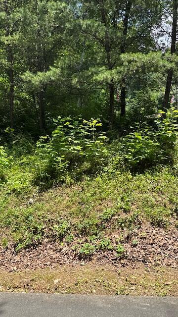 00 Ridgeway Dr NW, Cleveland, TN 37312 - photo 6