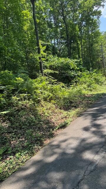 00 Ridgeway Dr NW, Cleveland, TN 37312 - photo 3