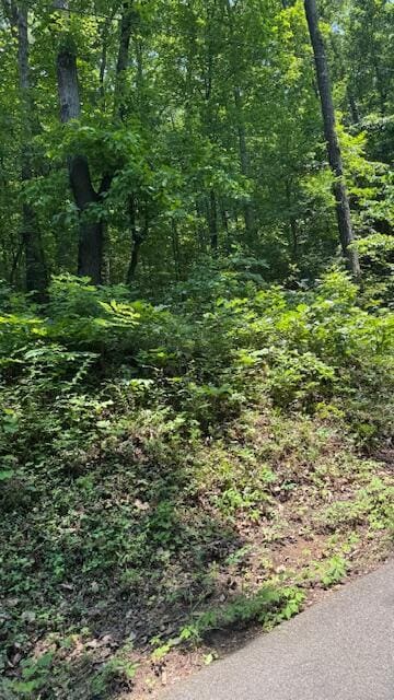 00 Ridgeway Dr NW, Cleveland, TN 37312 - photo 4