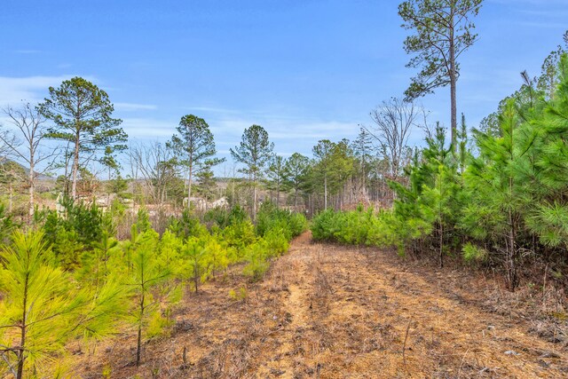 104 Quail Ln, Ocoee, TN 37361