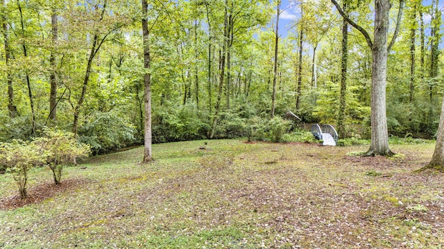 view of yard with a view of trees