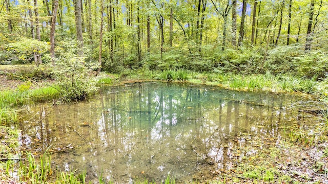 property view of water with a wooded view