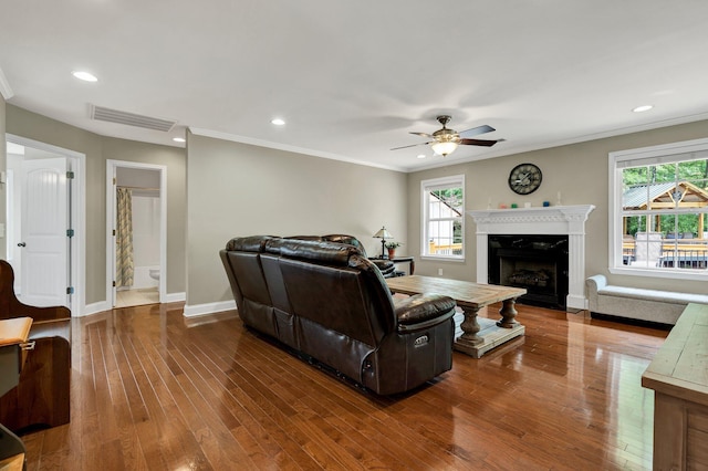 1010 Bradford Pl, Cohutta, GA 30710 - living room featuring ceiling fan, plenty of natural light, a high end fireplace, wood finished floors, and ornamental molding