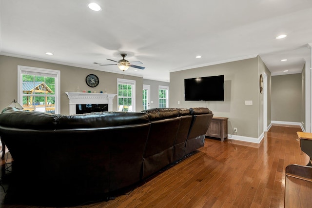 1010 Bradford Pl, Cohutta, GA 30710 - living room featuring ceiling fan, dark wood-style flooring, a glass covered fireplace, healthy amount of natural light, and ornamental molding