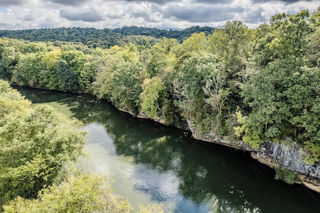 00 Moby Rd, Delano, TN 37325 - photo 10