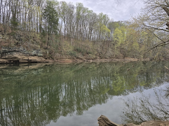 00 Moby Rd, Delano, TN 37325 - photo 3