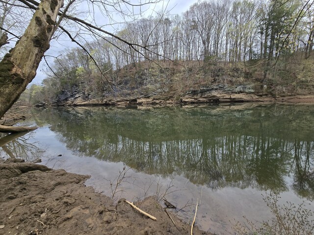 00 Moby Rd, Delano, TN 37325 - photo 5