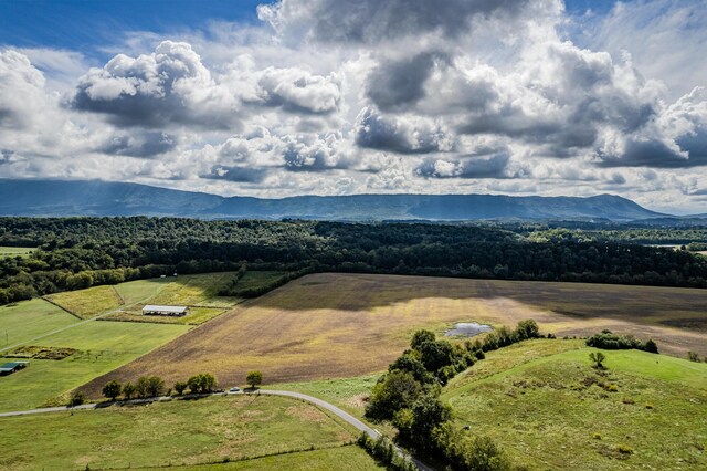 00 Moby Rd, Delano, TN 37325 - photo 19