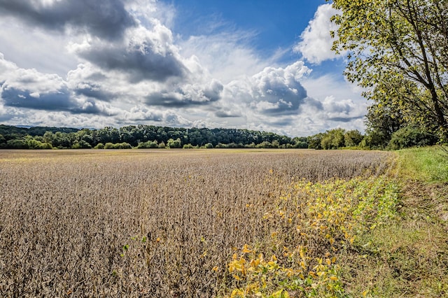 00 Moby Rd, Delano, TN 37325 - photo 14