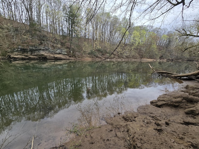 00 Moby Rd, Delano, TN 37325 - photo 4