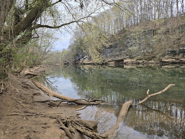 00 Moby Rd, Delano, TN 37325 - photo 6