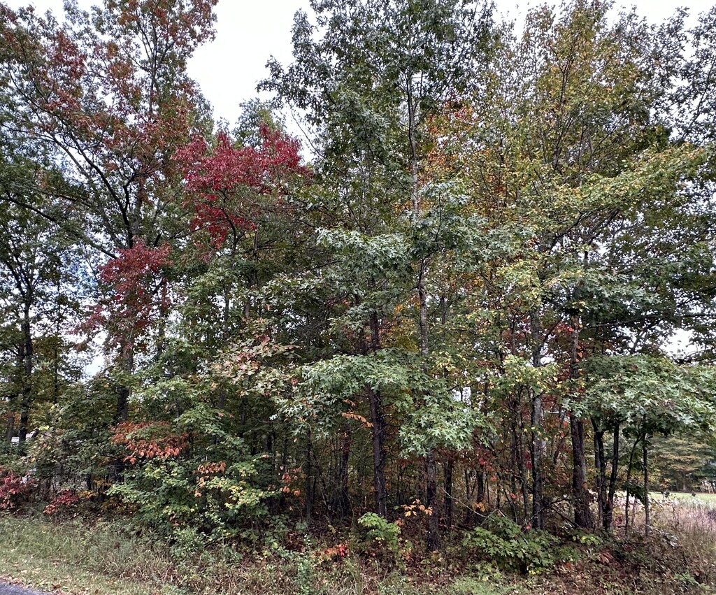 7000 Topez Dr, Crossville, TN 38572 - photo 2